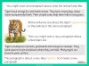 Paragraphs - Years 3 and 4 Teaching Resources (slide 5/21)